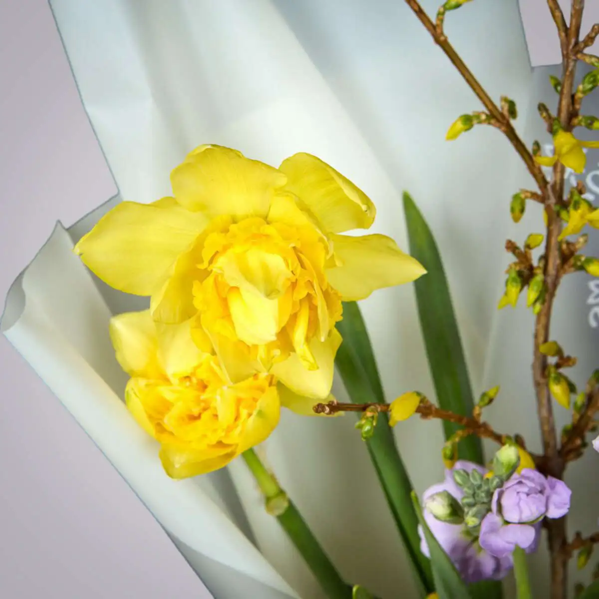 slide-https://cdn.smt.bz/uploads/dish/alt_media/1943561/ASV_4454__1_.webp