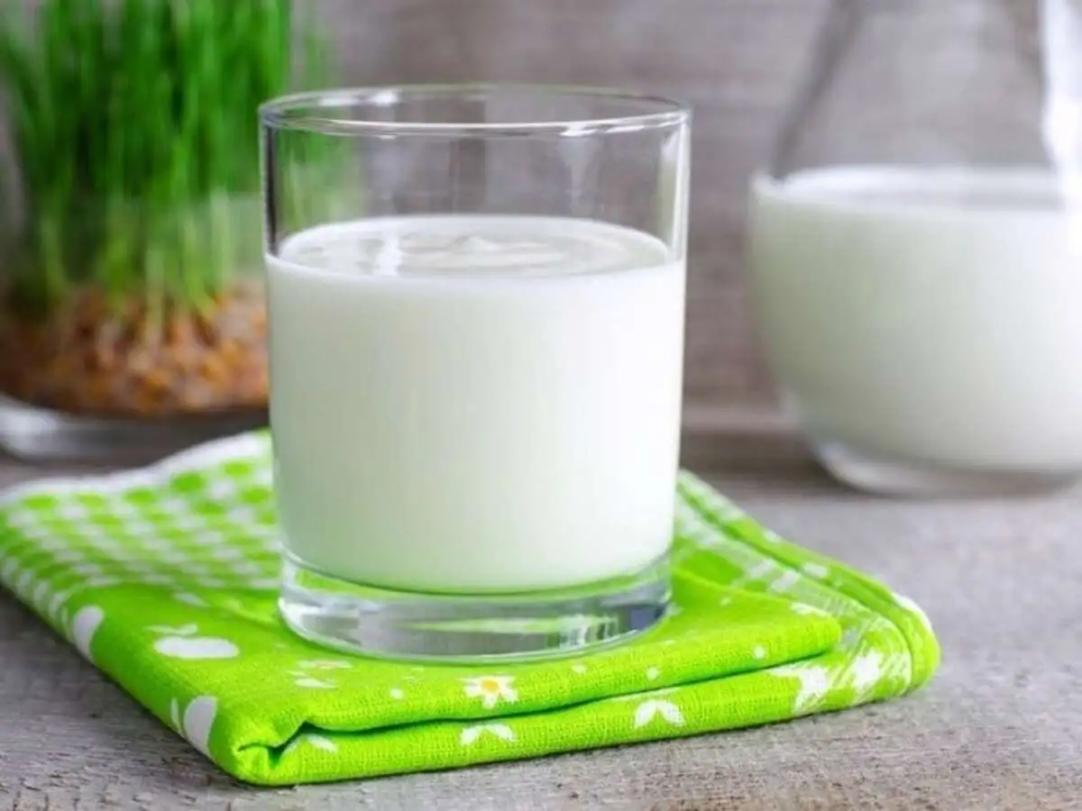slide-https://cdn.smt.bz/uploads/dish/alt_media/1968390/kefir-1.webp