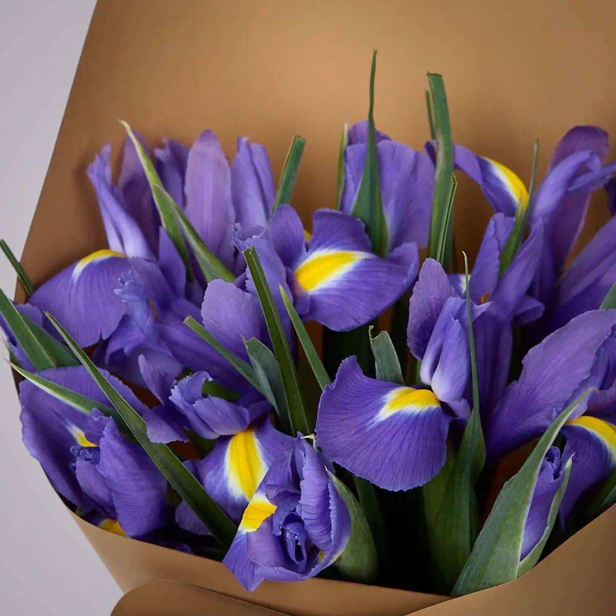 slide-https://cdn.smt.bz/uploads/dish/alt_media/2235929/ASV_8928__1_.webp