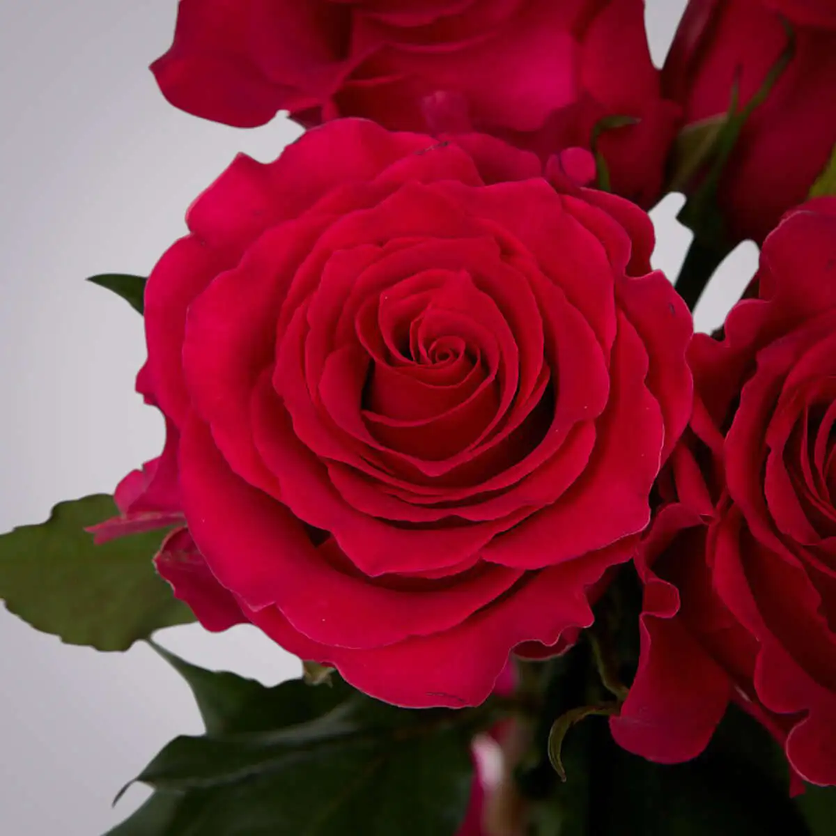 slide-https://cdn.smt.bz/uploads/dish/alt_media/2235940/ASV_9037__3__.webp
