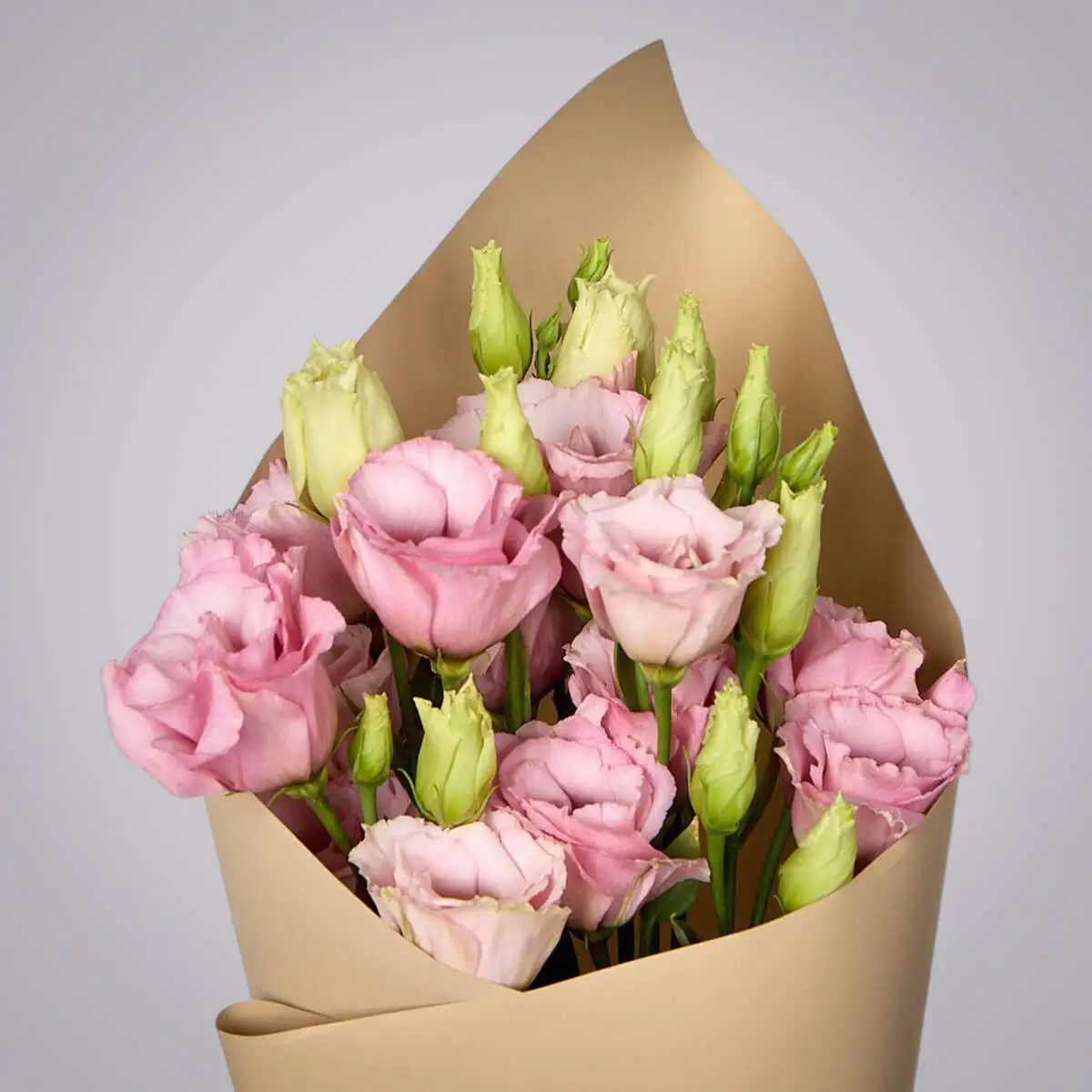 slide-https://cdn.smt.bz/uploads/dish/alt_media/2235947/ASV_9251__1_.webp