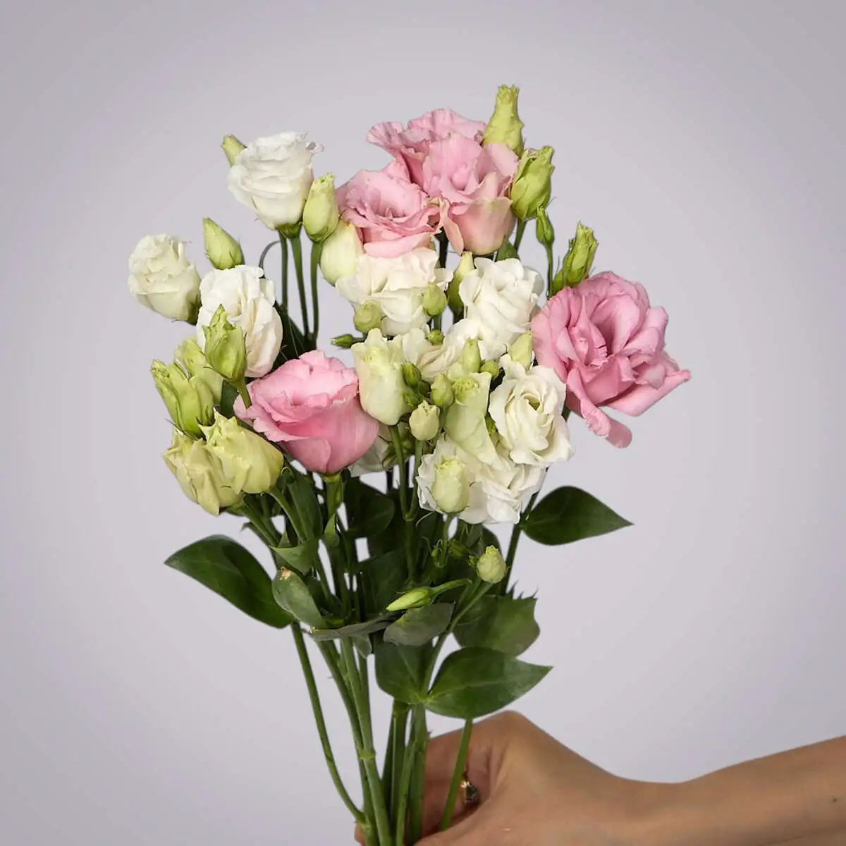 slide-https://cdn.smt.bz/uploads/dish/alt_media/2235952/ASV_9173__1_.webp