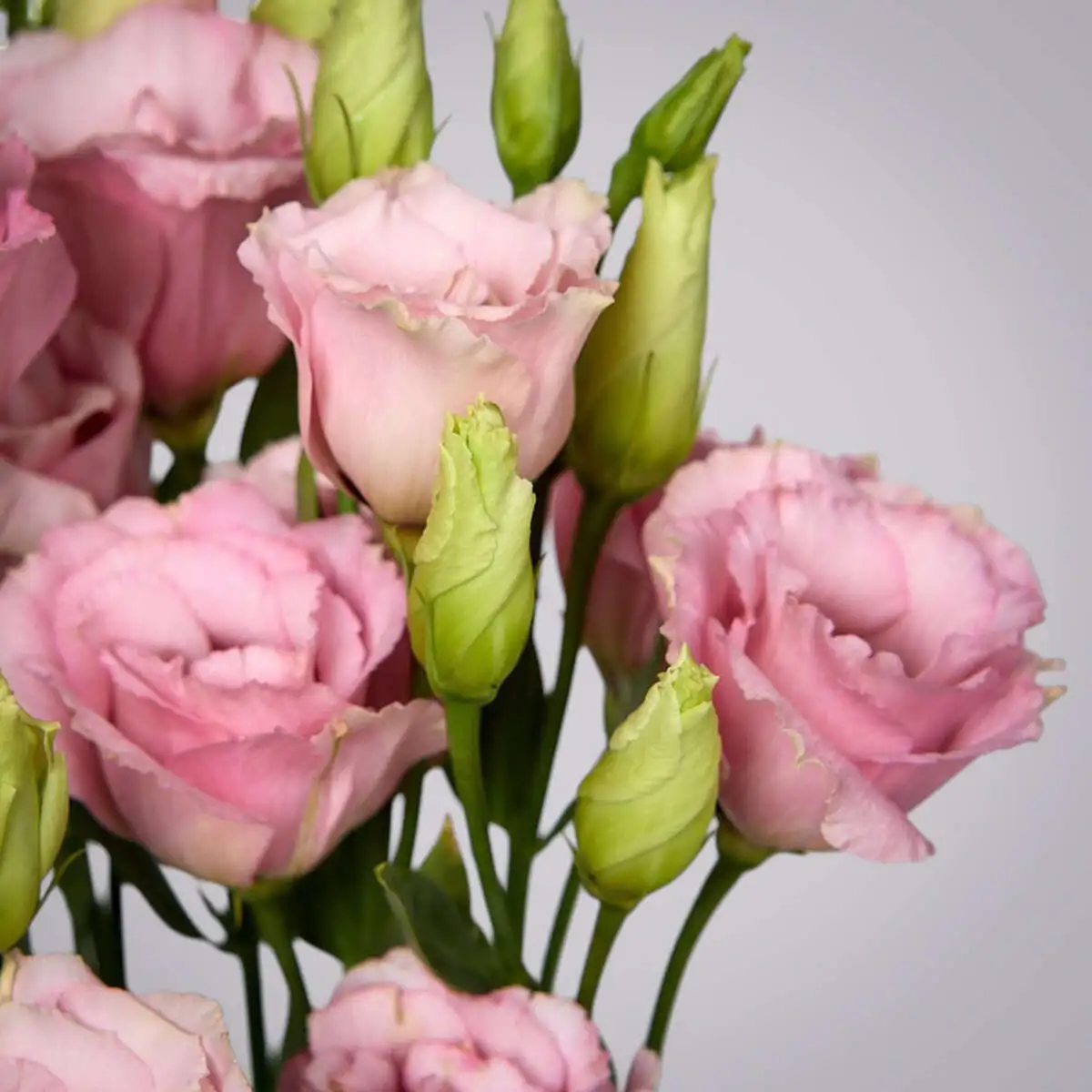 slide-https://cdn.smt.bz/uploads/dish/alt_media/2235954/ASV_9164__1_.webp
