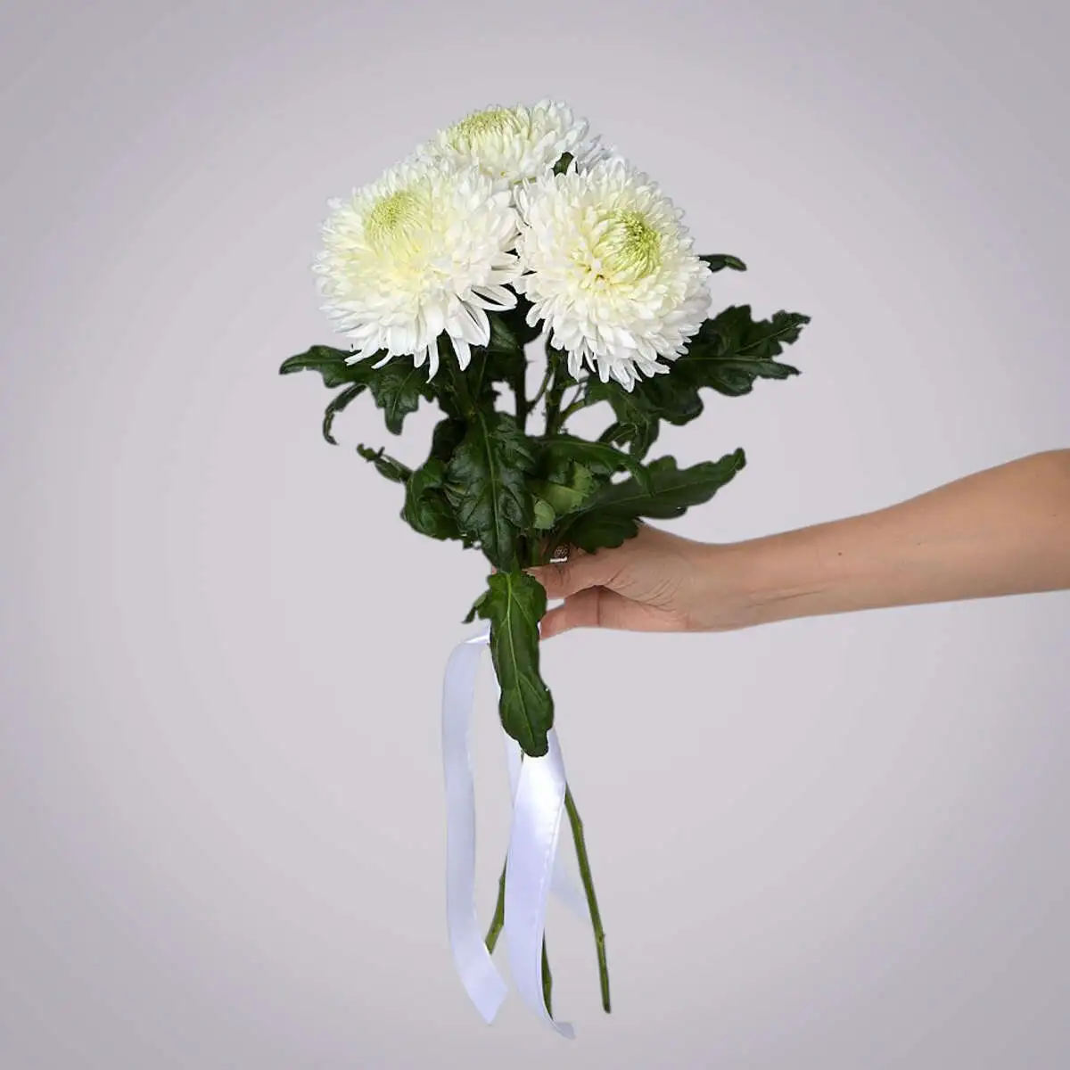 slide-https://cdn.smt.bz/uploads/dish/alt_media/2235955/ASV_9144__1_.webp