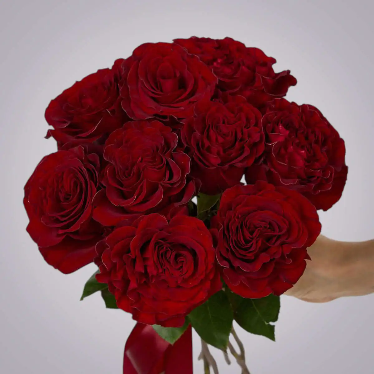 slide-https://cdn.smt.bz/uploads/dish/alt_media/2235961/ASV_9014__3_.webp