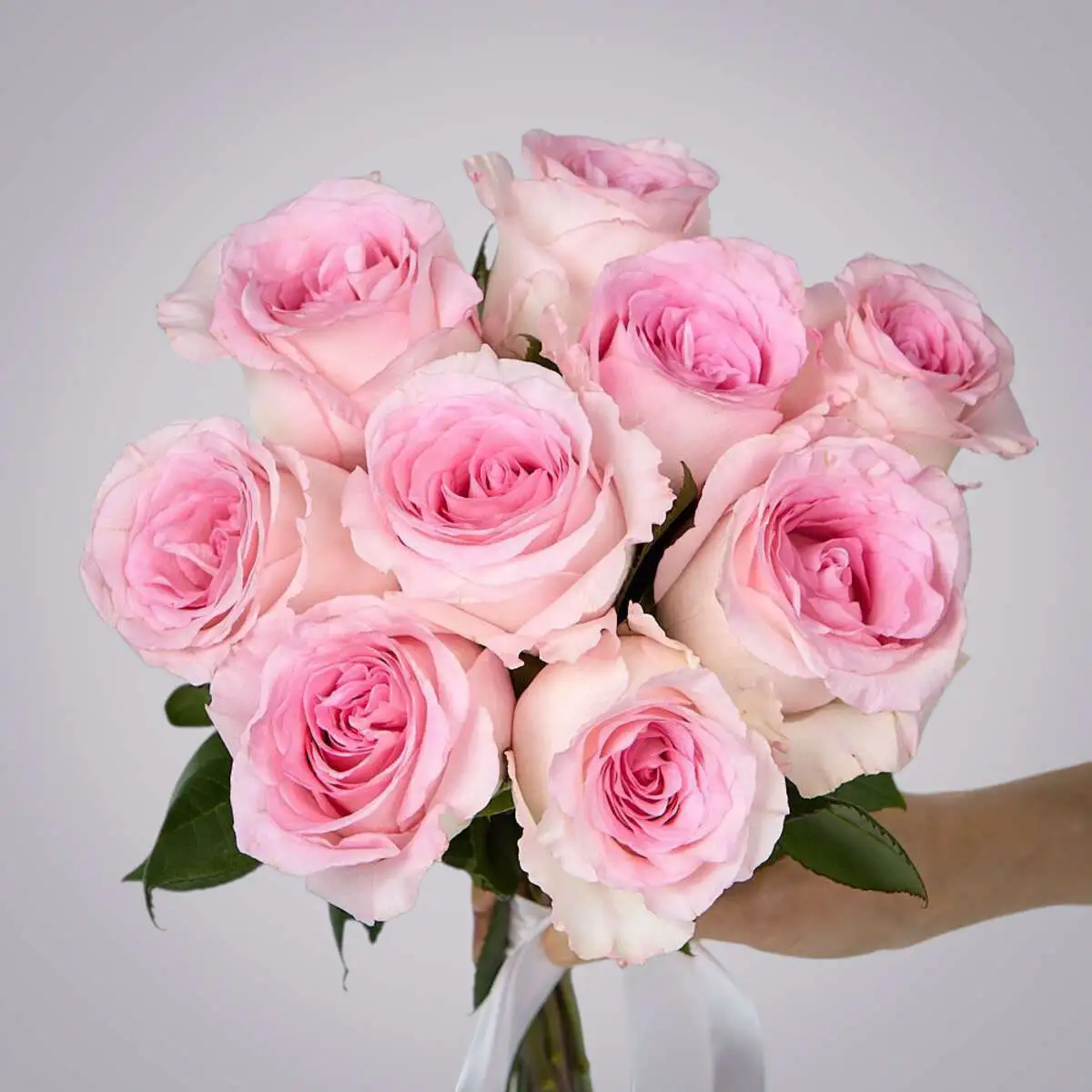 slide-https://cdn.smt.bz/uploads/dish/alt_media/2235962/ASV_8953__1_.webp