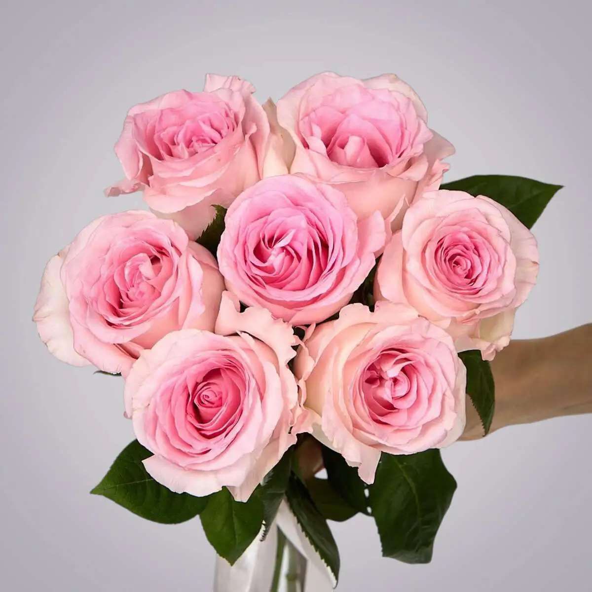 slide-https://cdn.smt.bz/uploads/dish/alt_media/2235973/ASV_8972__1_.webp