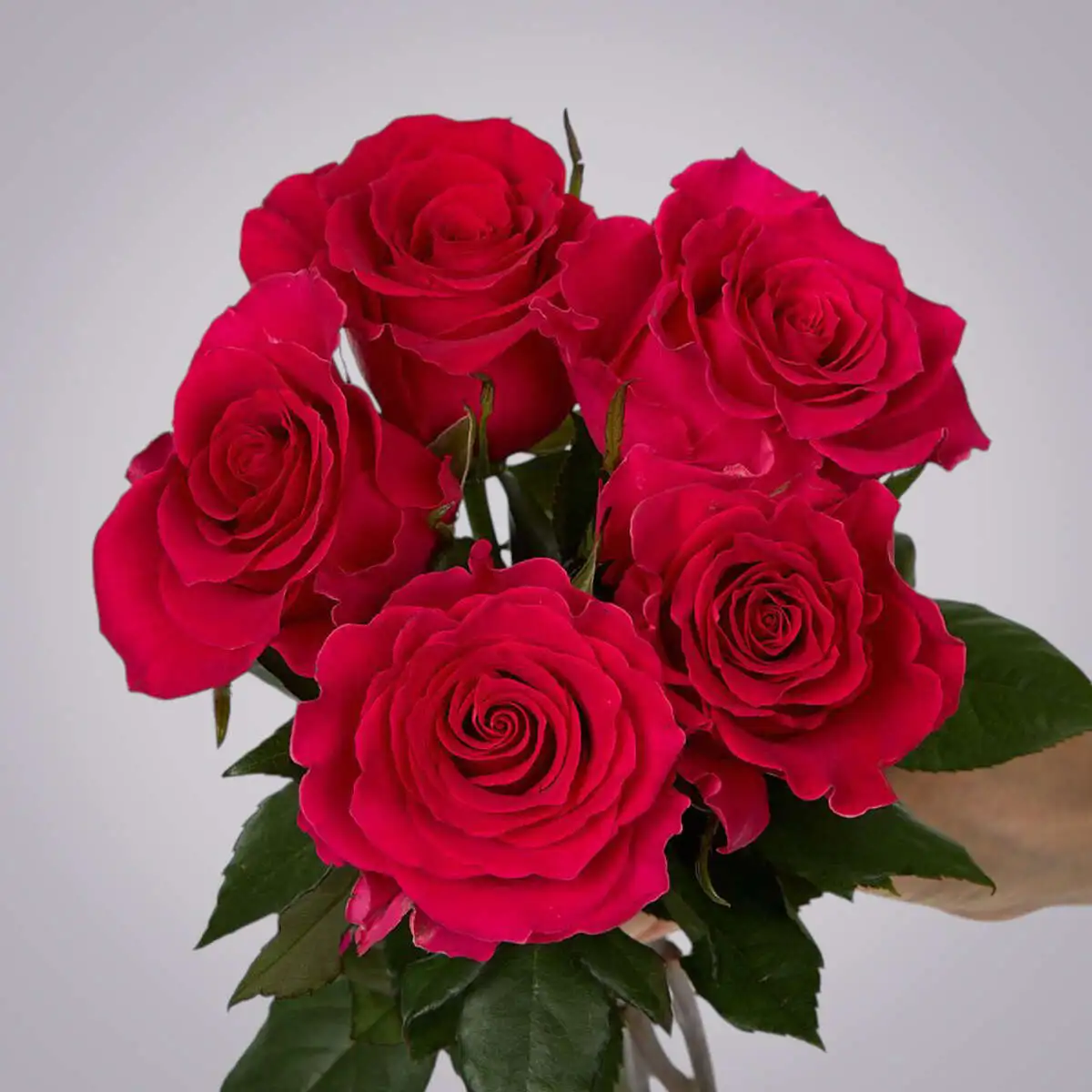 slide-https://cdn.smt.bz/uploads/dish/alt_media/2236019/ASV_9026__3_.webp
