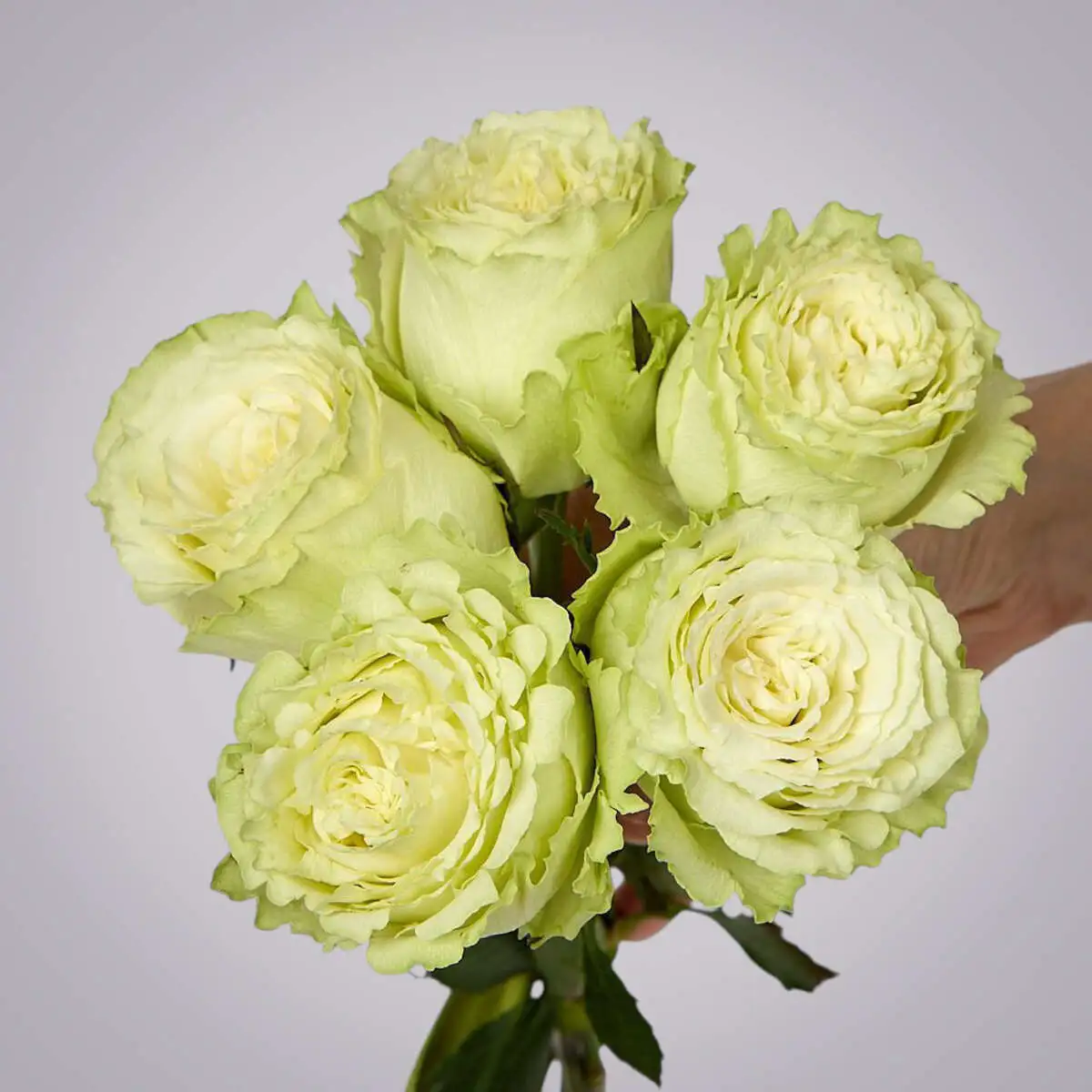 slide-https://cdn.smt.bz/uploads/dish/alt_media/2236037/ASV_9116__1_.webp