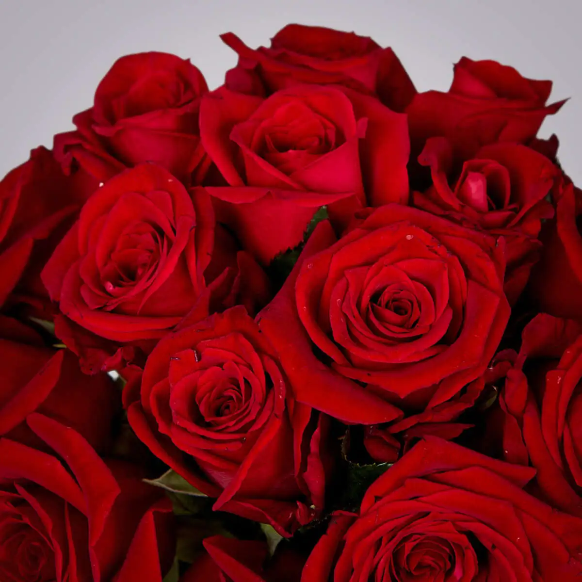 slide-https://cdn.smt.bz/uploads/dish/alt_media/2286050/ASV_3582.webp
