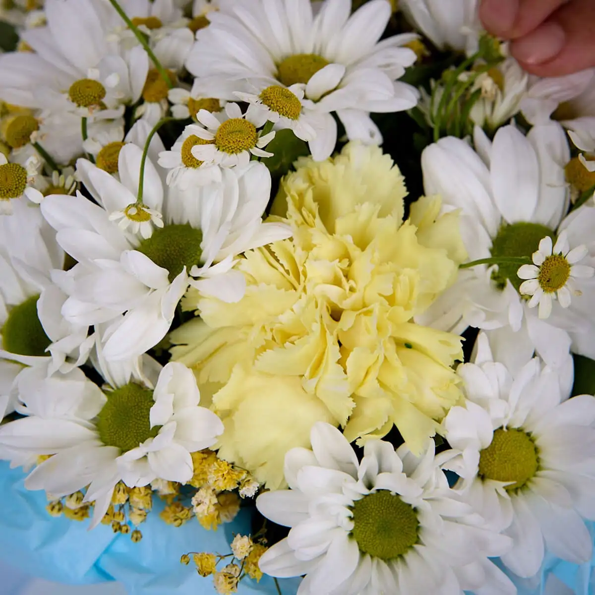 slide-https://cdn.smt.bz/uploads/dish/alt_media/2286062/ASV_3602.webp