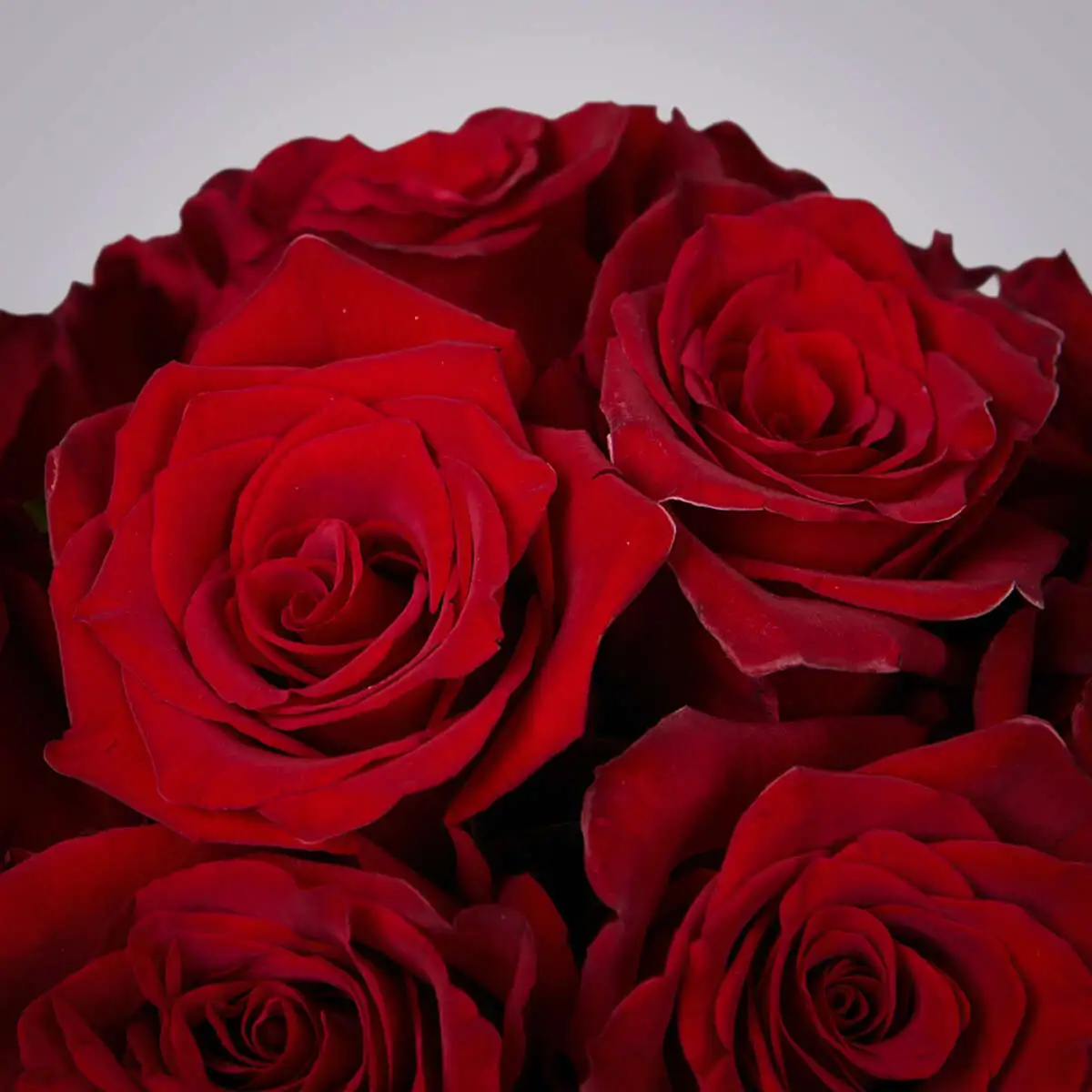 slide-https://cdn.smt.bz/uploads/dish/alt_media/2298702/ASV_4138.webp