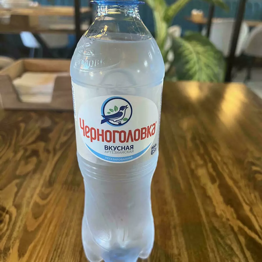 Вода Черноголовка негаз. 0,5л