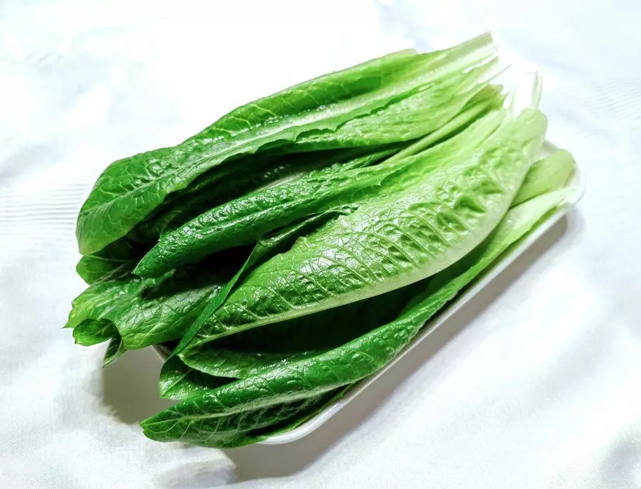 Салат Романо 油麦菜