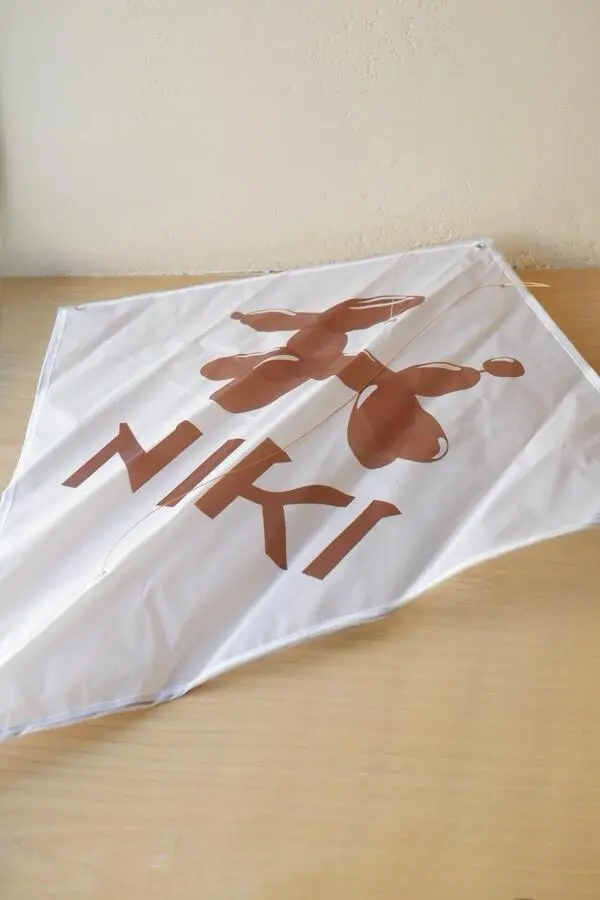 воздушный змей 