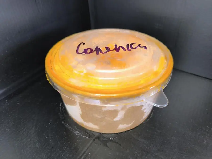 Соляночка 0,8л