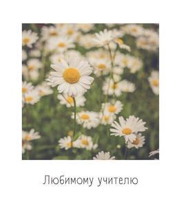 Открытка учителю № 4