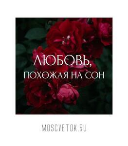 Открытка "Любовь, похожая на сон"