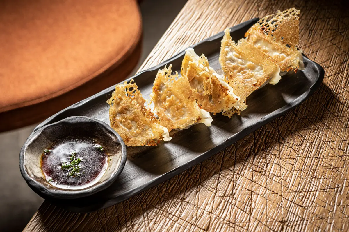 Gyoza with duck