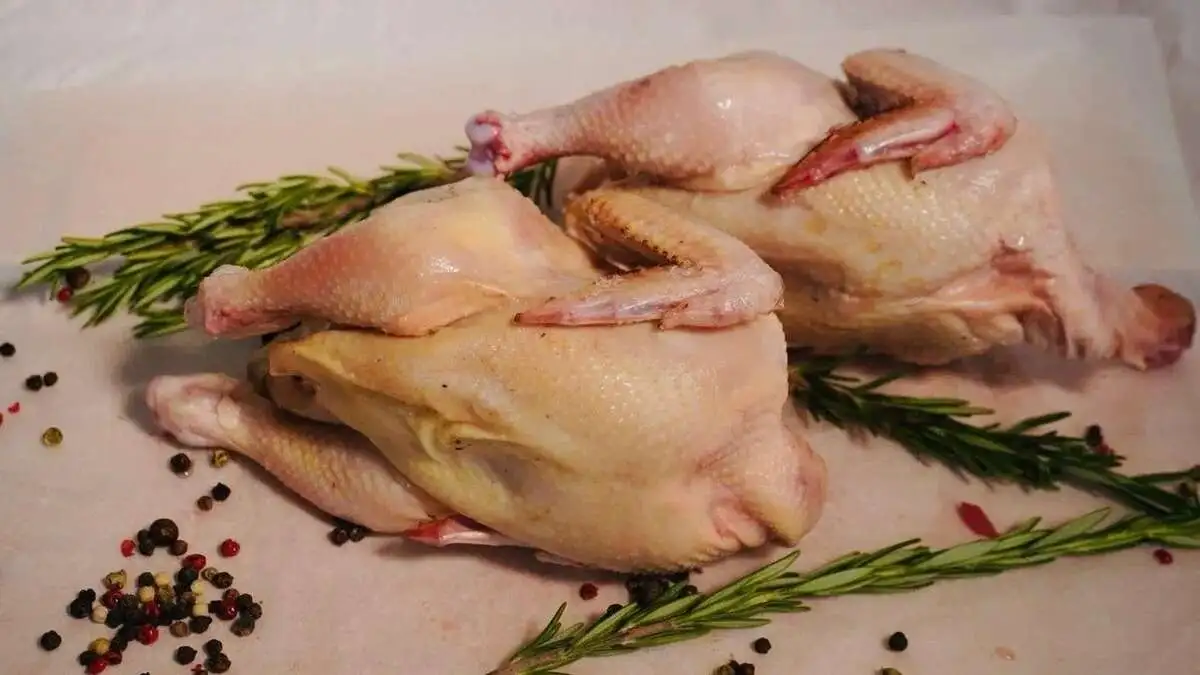 Цыплёнок корнишон