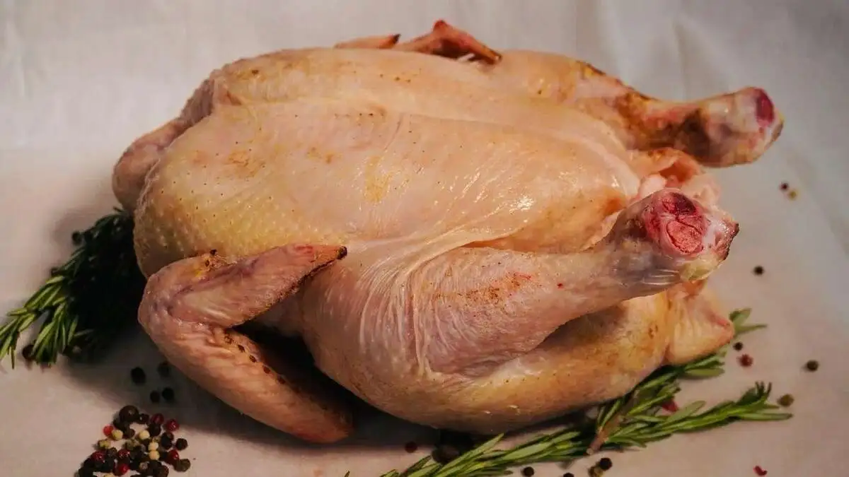 Курица домашняя