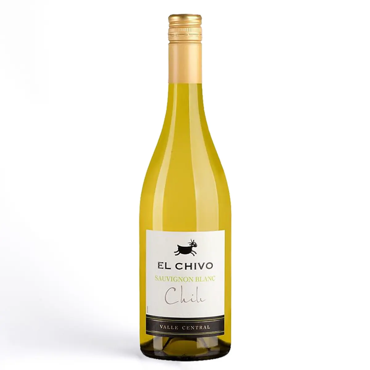 El Chivo Sauvignone Blanc