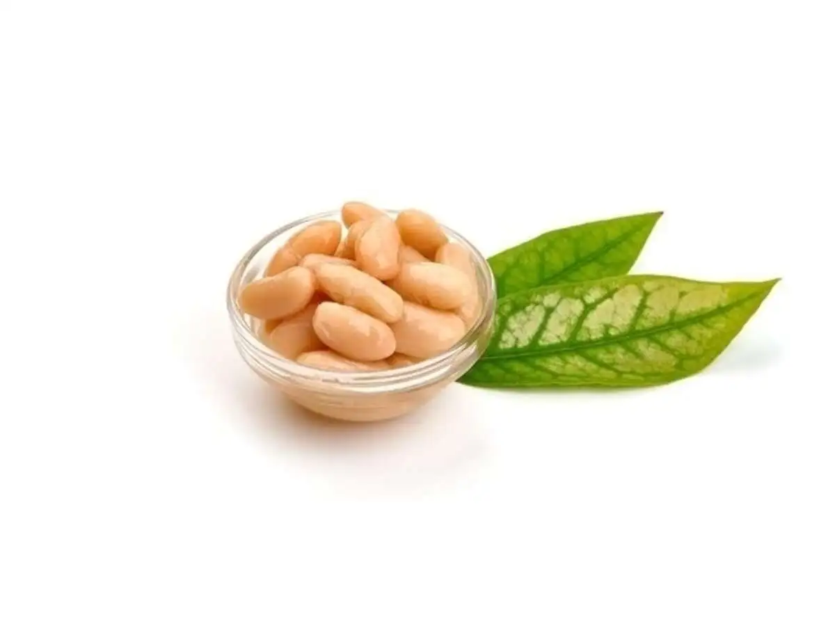 Фасоль белая