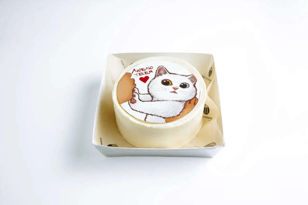 Бенто с котиком