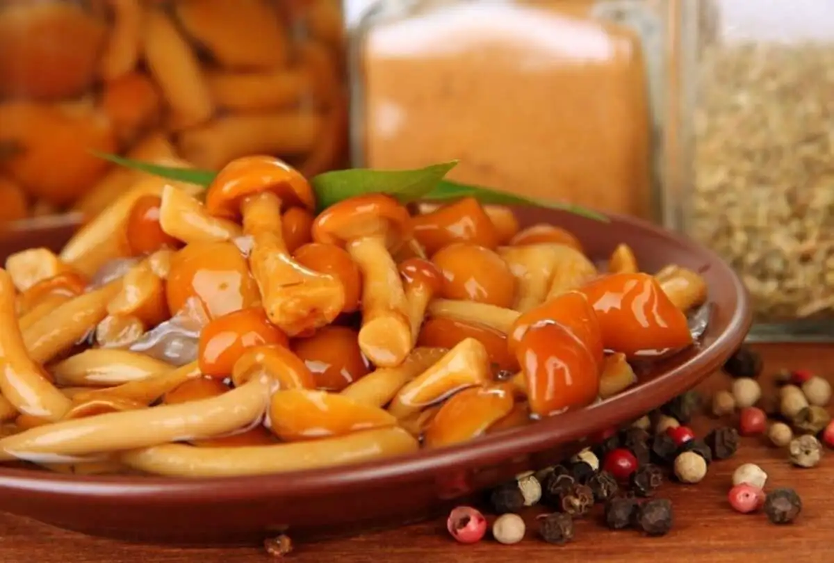 Салат из грибов (Золотые опята)