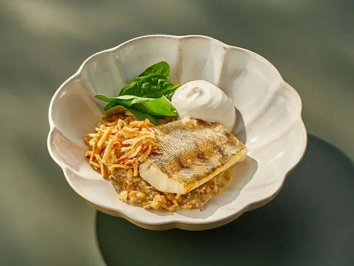 Филе судака