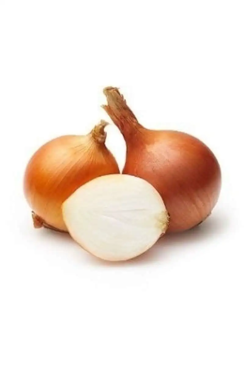 Лук Репчатый (м)
