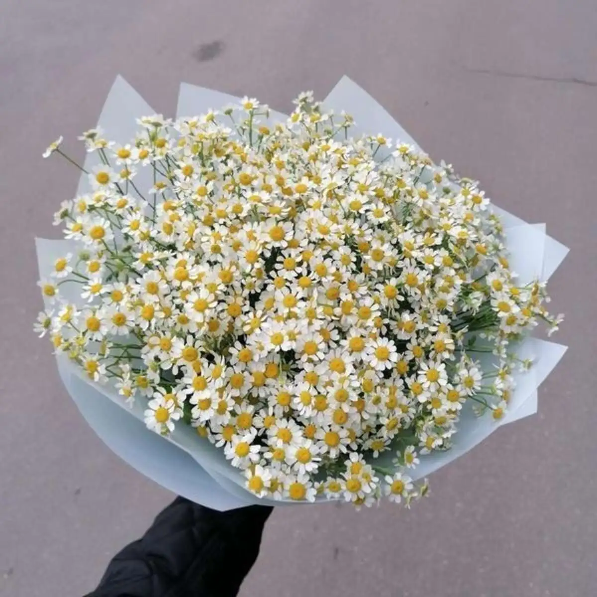 Букет из 15 кустовых ромашек