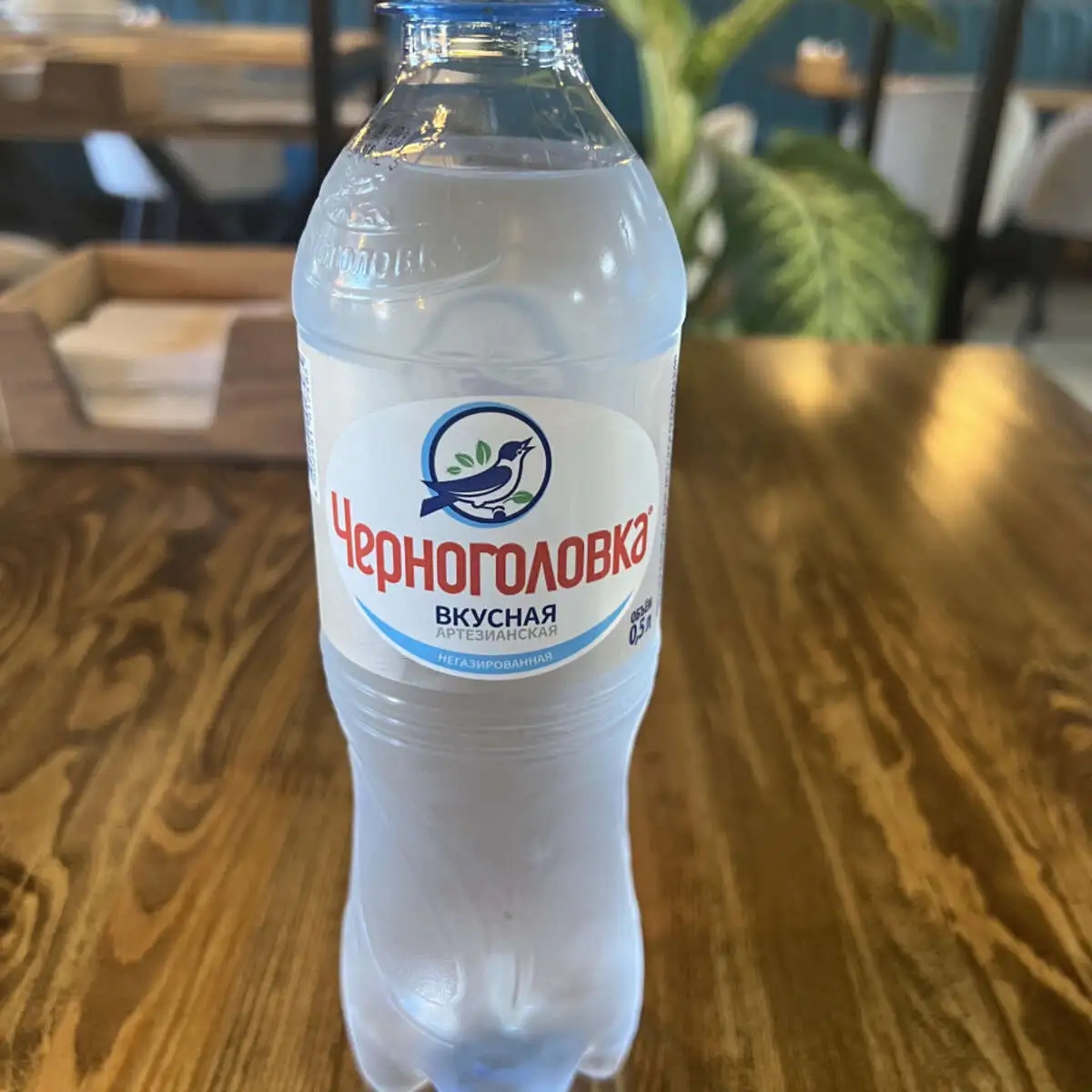 Вода питьевая Черноголовка негаз. 0,5л ПЭТ