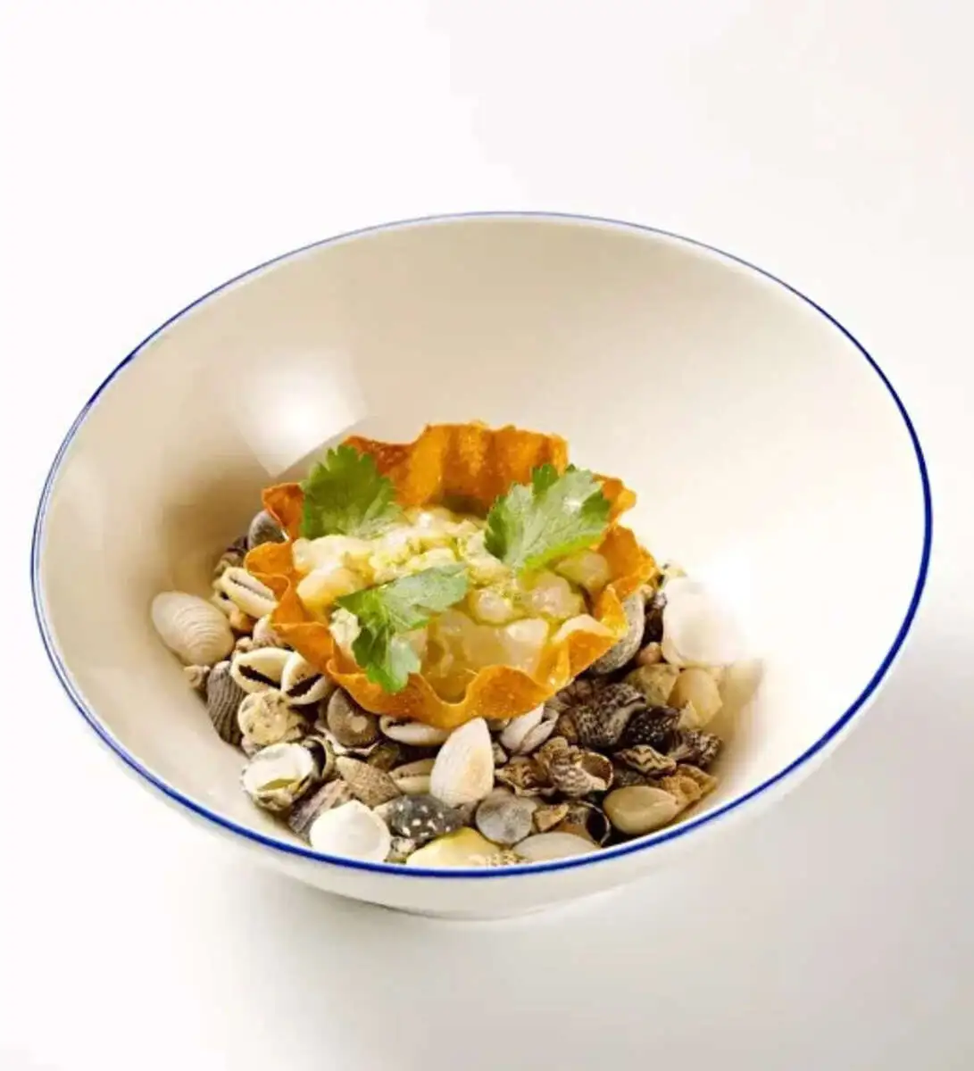 Севиче из морского гребешка