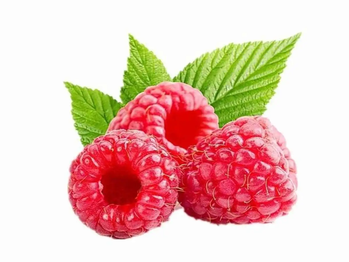 Лимонад Малиновый