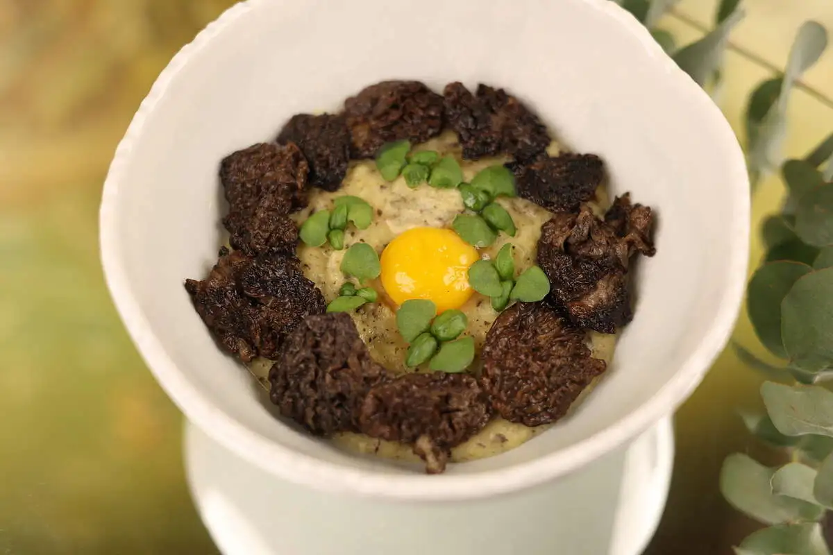 Трюфельное пюре со сморчками