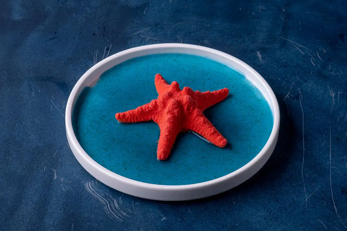 Морская звезда