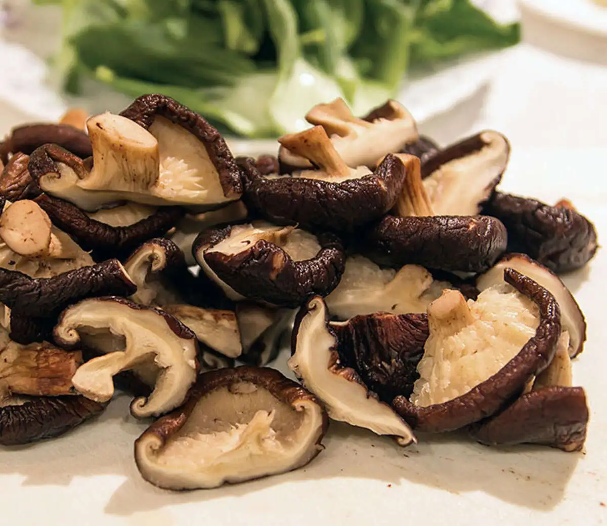 Шиитаке грибы сборная