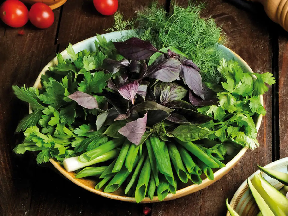 Ассорти свежей зелени