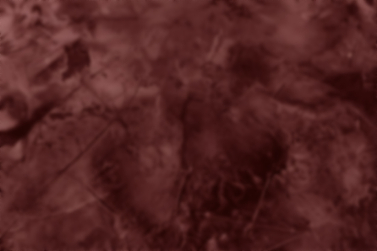 Рыба и морепродукты