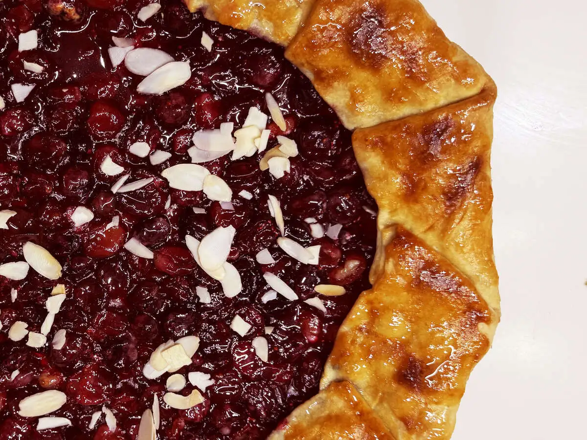 Кусочек галеты с клюквой и ежевикой