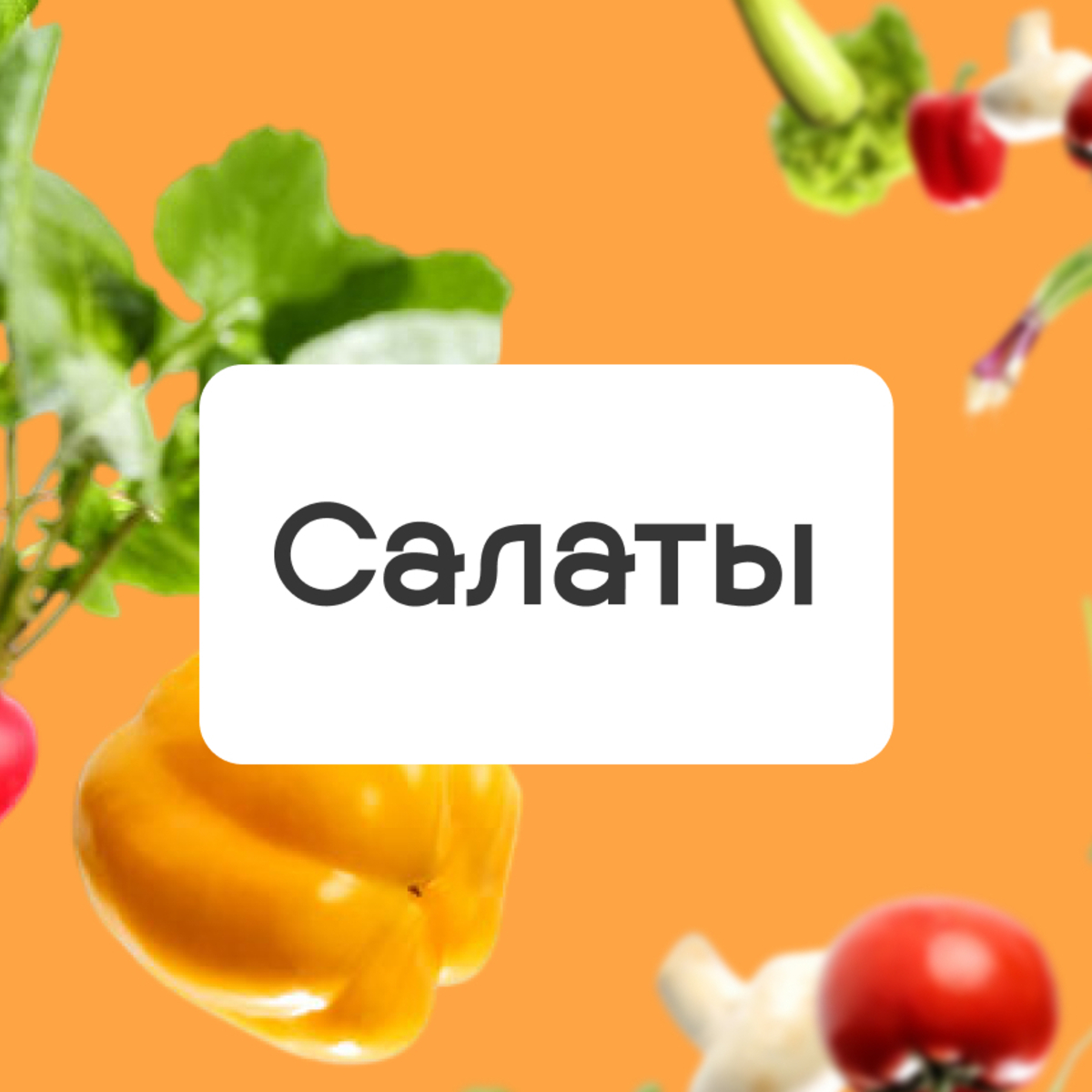 Салаты