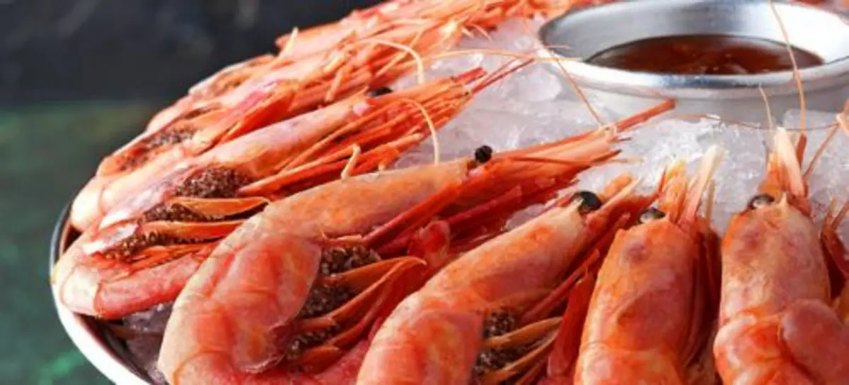 МАГАДАНСКАЯ 100 ГР