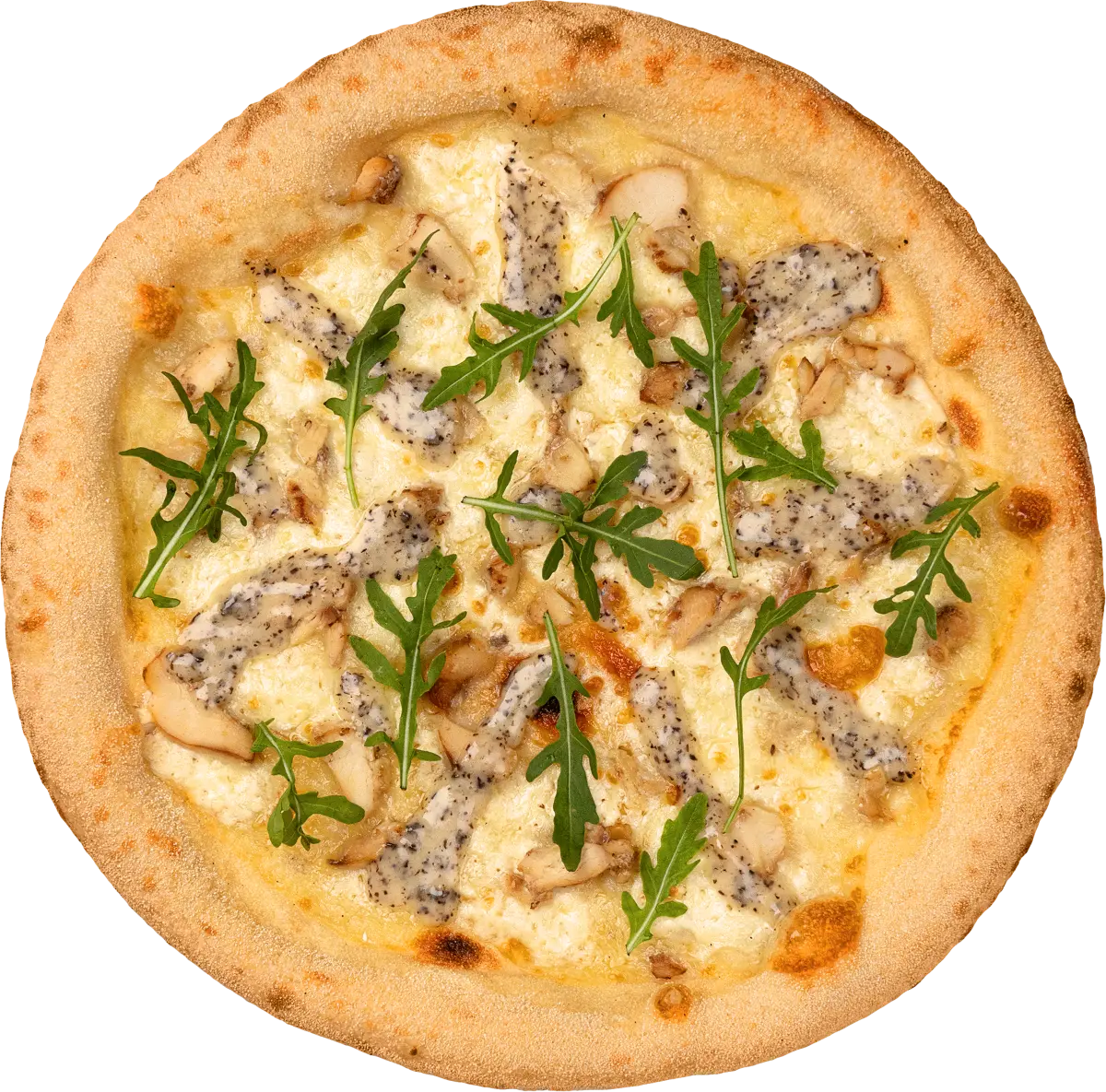 Пицца с куриным филе и трюфельным соусом