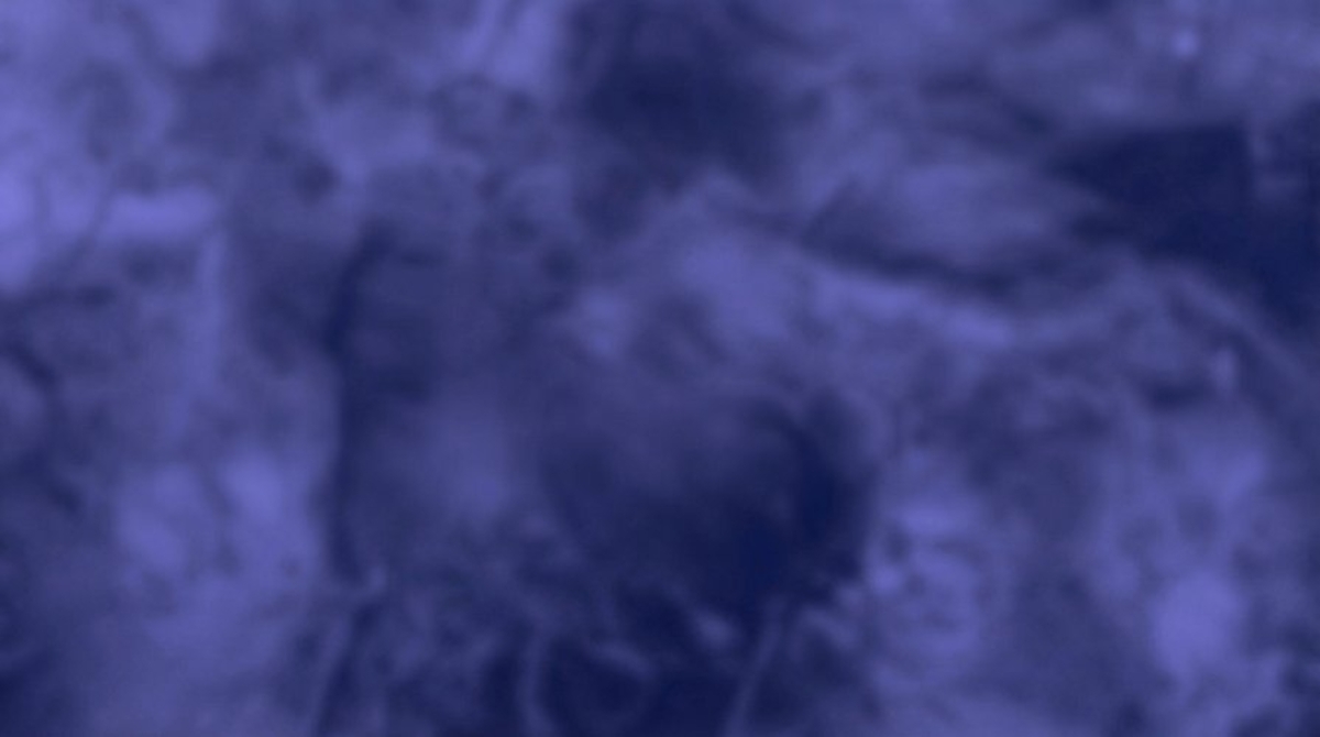 Роллы & сеты