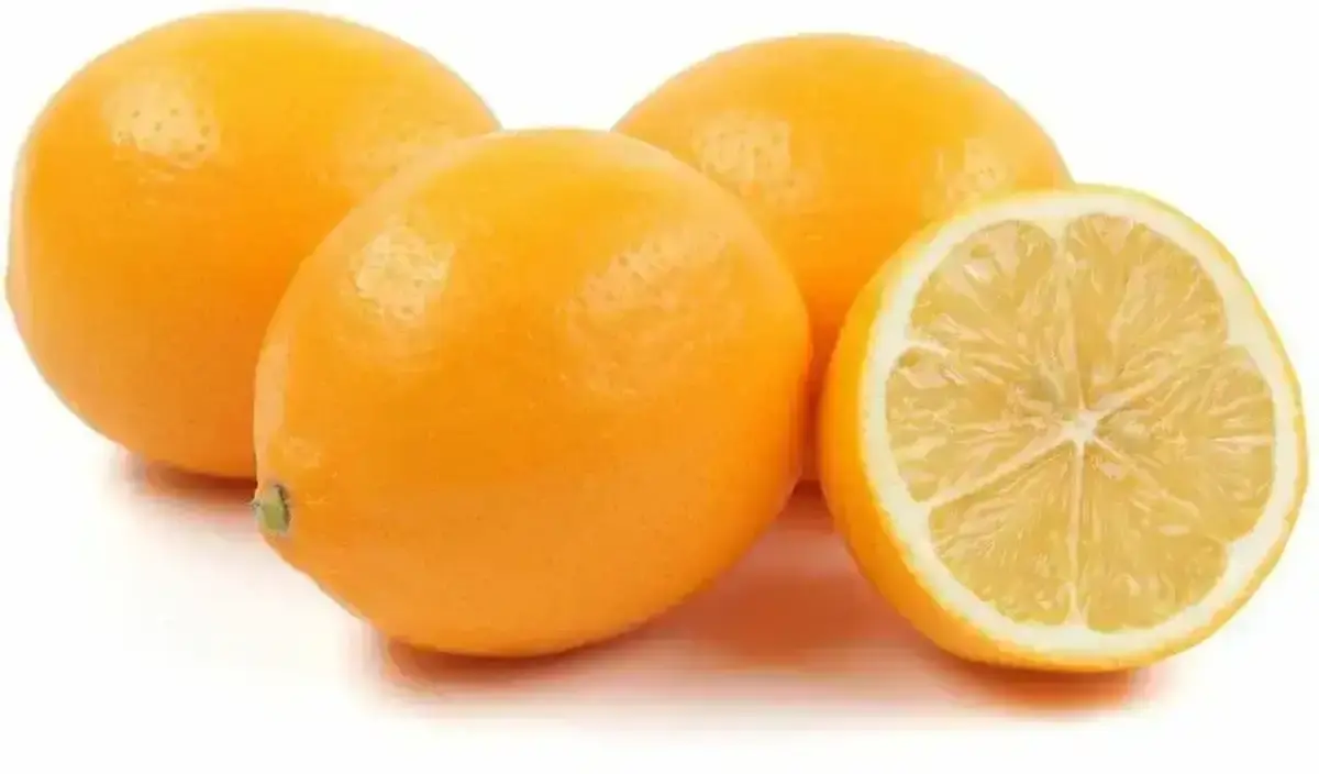 Лимоны Узбекистан(м)