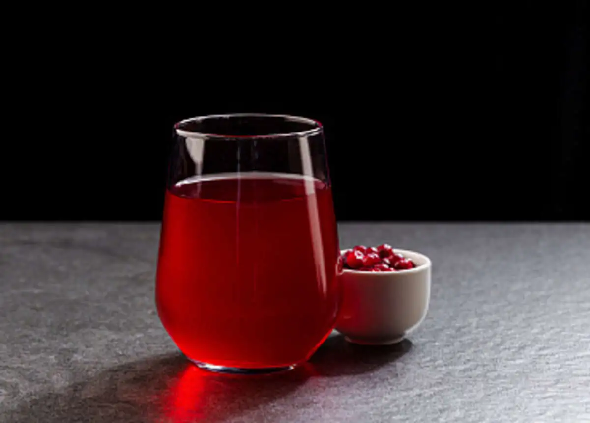 Брусничный морс 0,5