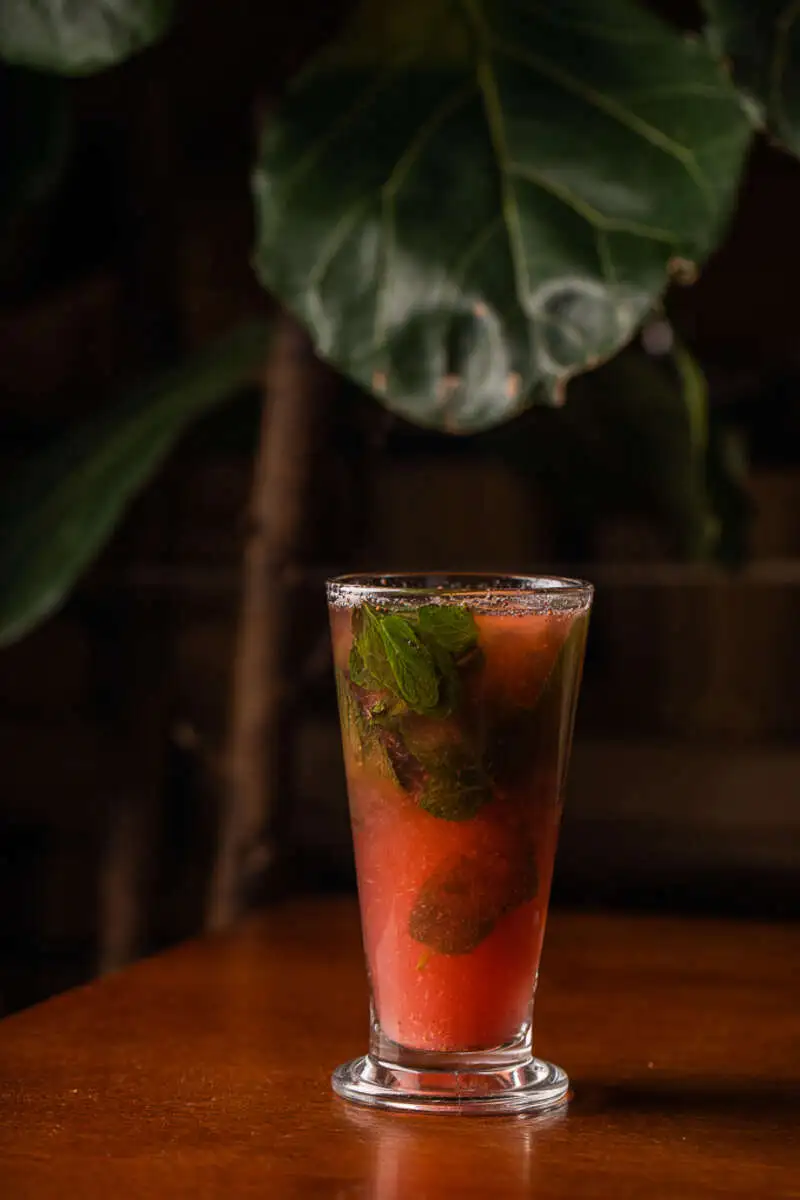 Горячий мохито 0,2