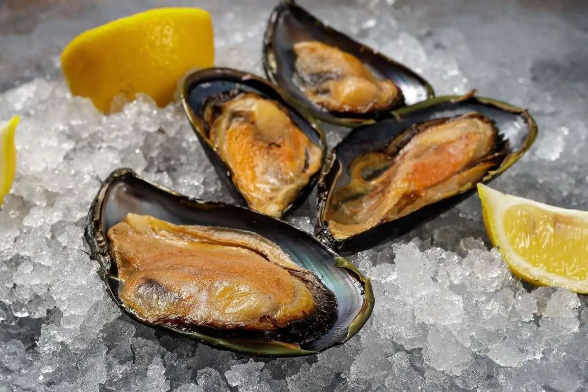 Мидии гигант киви 1 кг 