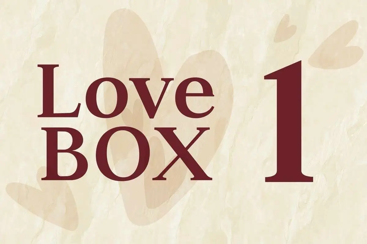 LOVE BOXES